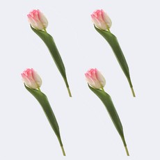 조화 홈플로우 홈 장식 다양한 컬러의 망고 튤립 스틱, 물든샴페인, 4개