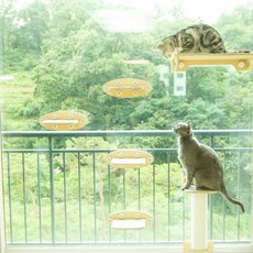 SPACE SOLUTION Cat 貓塔透明吊床牛 + UFO Step 4p 套裝, 混色, 1組