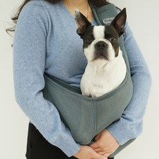 REDPUPPY 寵物網眼涼感斜背包, 摩登灰