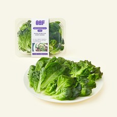 원에이커팜 무농약 인증 레드 버터헤드 믹스, 100g, 1개, 1개입