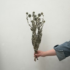 GAPANG 乾花DRYB217, 02黑色