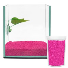 Aquatera 鬥魚玻璃魚缸 + 鬥魚床 + 彩石 1kg CH-G150, 粉紅色(彩石)