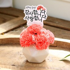 센트바스켓 조화 블러쉬 카네이션 비누꽃 센터피스 + 토퍼 + 캐리어 세트, 딥코랄, 1세트