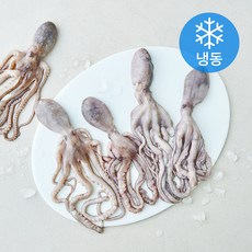 올프레시 살아있을때 얼린낙지 (냉동), 16개, 450g