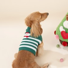PETBONE 狗狗聖誕老人針織衫, 綠色, 1個