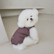 BENNYS 狗狗軟墊胸背帶, 棕色