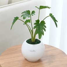 도시정원 모던 원형 셀렘 조화 소품, 혼합색상, 1개