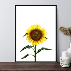 마벨인홈 드로잉썬플라워C 포스터 + 원목 액자 + 접착식 후크 세트, 블랙