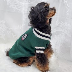 Petca 寵物牛津V領針織衫, 綠色, 1個