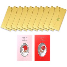 사랑감사 카네이션 브로치 2p + 럭셔리 펄 용돈봉투 10p 세트, 랜덤발송(브로치), 골드(용돈봉투), 1세트