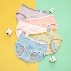 글램공감 심플 데일리 젤라토 요일 면스판 팬티 5종세트
