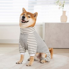 레드퍼피 강아지 시크 스트라이프 기모 숏 점퍼, GRAY, 1개