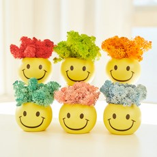 아스파시아 웃어요 스칸디아모스 화분 6종 세트, 레드, 스프링그린, 어텀, 퍼시픽그린, 핑크, 라벤더블루, 1세트