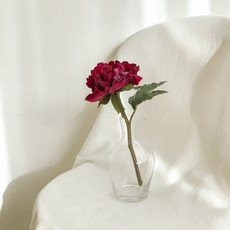 Cozette秋季室內裝飾芍藥仿真花乾燥花, 紅酒