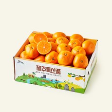서귀포 감귤 점보과, 1개, 4.5kg(점보과)