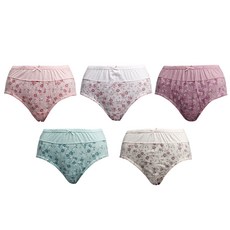 버팔로 여성용 통기성 실켓 맥시 삼각 팬티 5종 세트 BW-1602