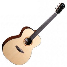 비일라 어쿠스틱 기타, 1개