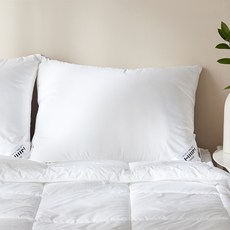 HANSSEM Sleepdiver超細纖維棉填充枕芯, 白色, 1個