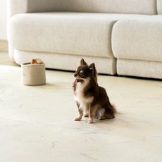 울리 반려동물 미끄럼방지 러그매트, 마블, 1개