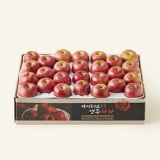 아이러브 영주 못난이 사과 소과 23~30개입, 1개, 4.5kg
