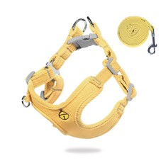 앤티스 반려동물 네츄럴드롭 하네스 M + 리드줄, 옐로우, 1세트