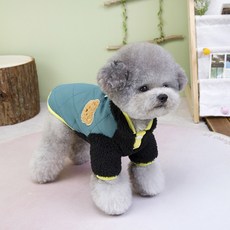 PASTEL PET 寵物絎縫小熊連帽外套, 綠色, 1個