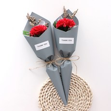 카네이션 한송이 드라이플라워 2p, 레드(카네이션), 블루(포장지)