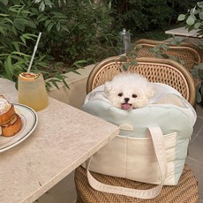 babisyoung 寵物 Pogeuni Atobag 第2季 外出提籠, 翡翠鼠尾草, 1個