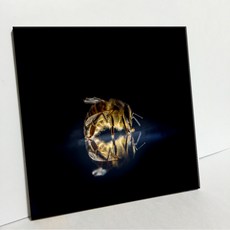 UDP 磁磚畫框 3930397