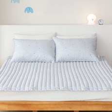 데일리라이크 촉감극찬 에어리 모달 사계절 침대패드, 다우니 비숑