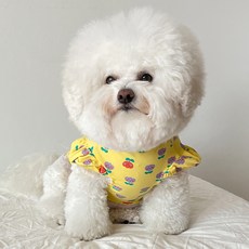 By Damsumi 狗狗鬱金香T恤, 黃色