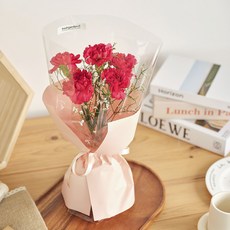 프레시가든 생화 크러시 카네이션 미니꽃다발, 레드