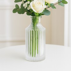 앙플랜트 베이직 스트라이프 기본 화병, 투명