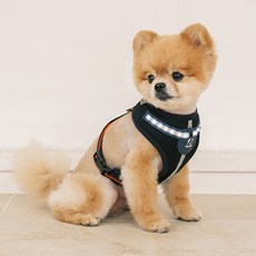 RealPet 화이트 LED 강아지 외출 하네스, BLACK, 1개