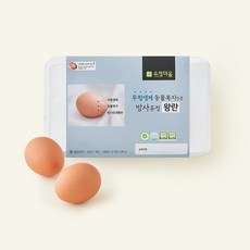유정마을 동물복지 인증 방사 유정 왕란 1.02kg, 1개, 15구