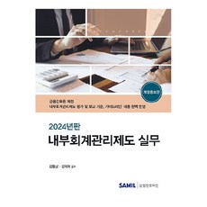 2024年內部會計管理制度實務, 三一Infomine, 產品名稱