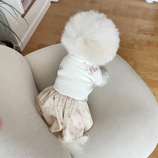 BYDAMSOOMI Pet Cozy Life 韓服連體衣, 混合顏色