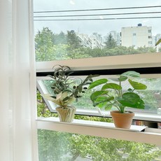 ARTEX CORP 新型鐵製多用途窗框層架 60cm, 1個, 白色