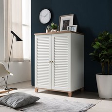 장인가구 미호 800 낮은 옷장 방문설치, 화이트 + 오크