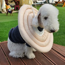 MAAH 大型犬用頸圈, 1個, 奶油米色