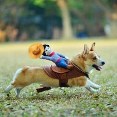 HIGUY 狗狗牛仔角色扮演背心, 棕色, 1個