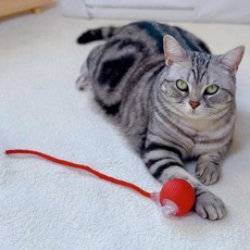 MAAH 고양이 혼자노는 자동 스마트 볼 장난감 로프 SCB-01, 레드, 1개