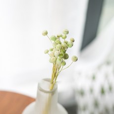 가팡 드라이플라워 DRYB091, 그린 05번