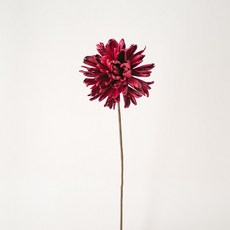 GAPANG 乾花 DRYB199, 02（菊花紅）