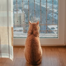 딩동펫 반려동물 헥사곤 안전 울타리망 블랙, 1개