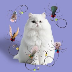 DING DONG PET 貓咪釣魚竿替換頭組合, 1套, 大眼睛羽毛蒼蠅5種