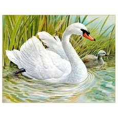 KMELLIE 帆布畫框一體式 3D DIY 圓形鑽石畫 50 x 40 cm, 疣鼻天鵝, 1個