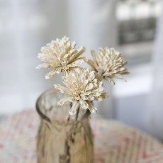 GAPANG 乾花 DRYB109, 白色數字 02