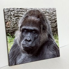 UDP 瓷磚畫框 A型 3921707, 單一顏色