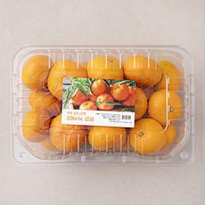 가족 당도선별 10brix 감귤 팩, 2kg(로열과), 1팩
